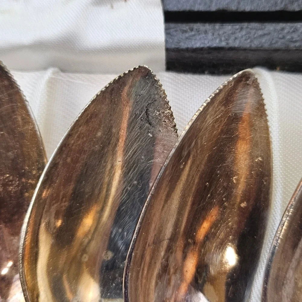 Raimond Grapefruit Spoons Set of 6 Silver Plated Sheffield England Vintage Boxed